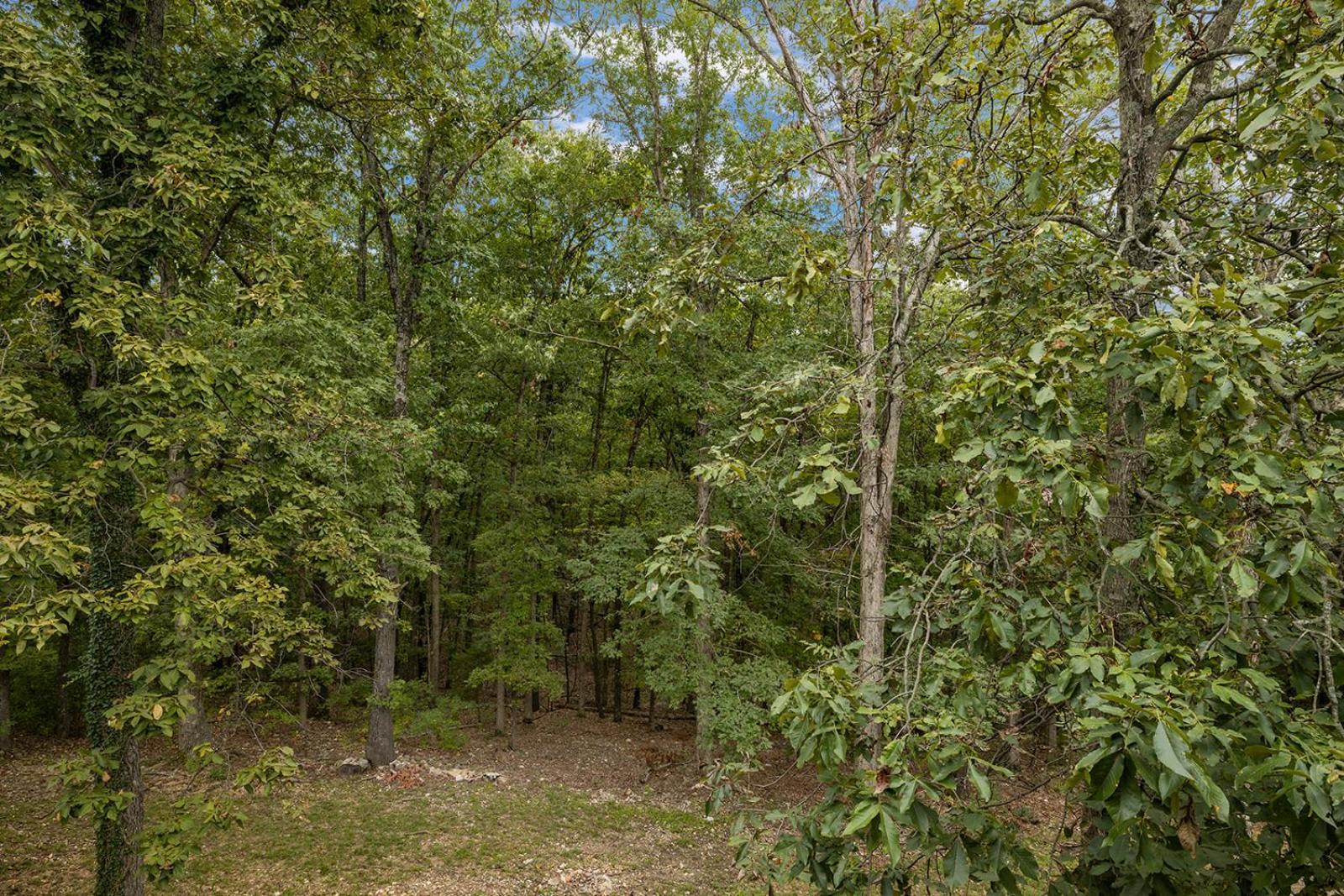 The Lofts On Indian Point - Near Silver Dollar City Branson Exterior foto